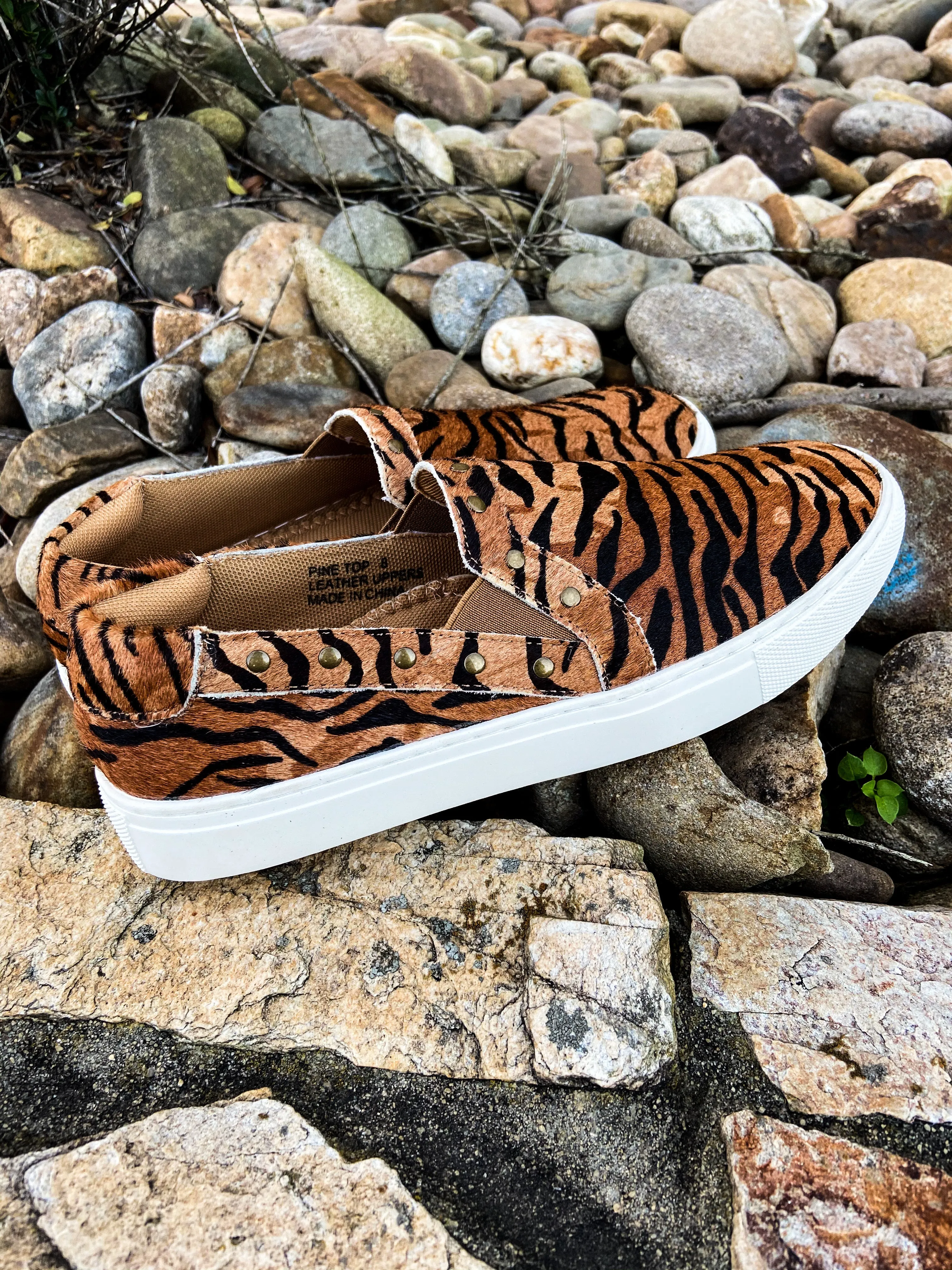 Pinetop Tiger  Slides