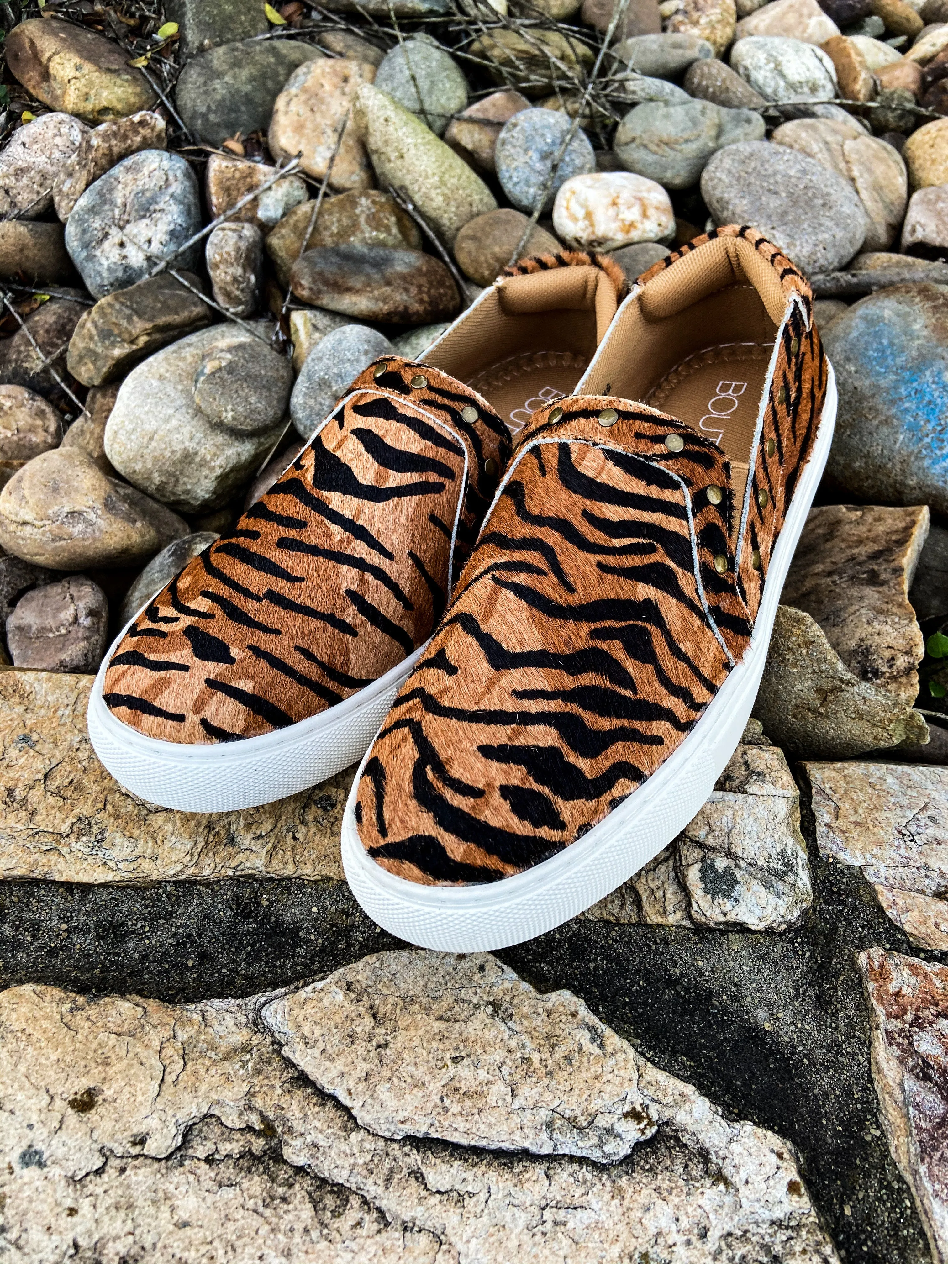 Pinetop Tiger  Slides