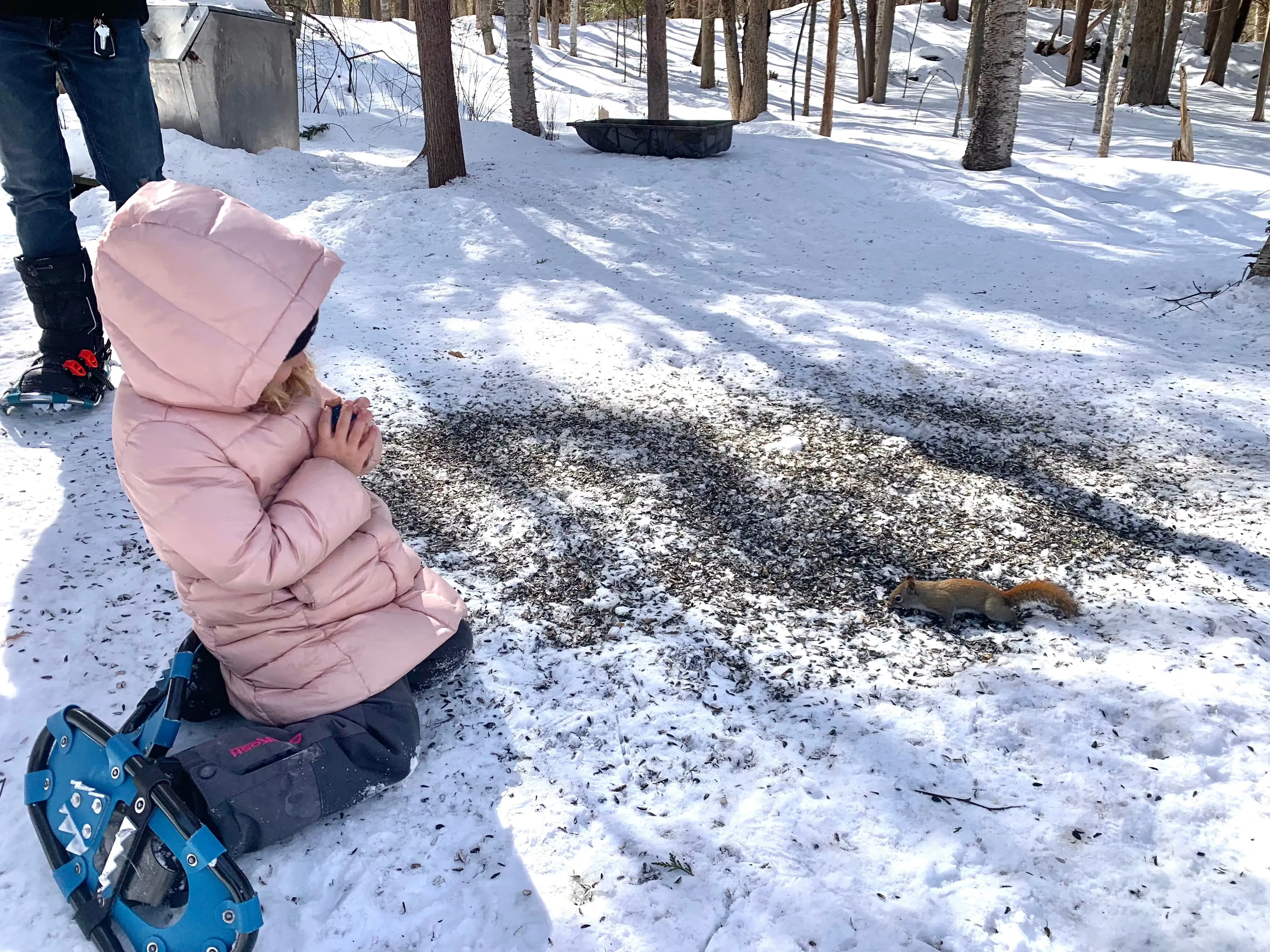 SNOVAP Winter Adventure Hike: Easy