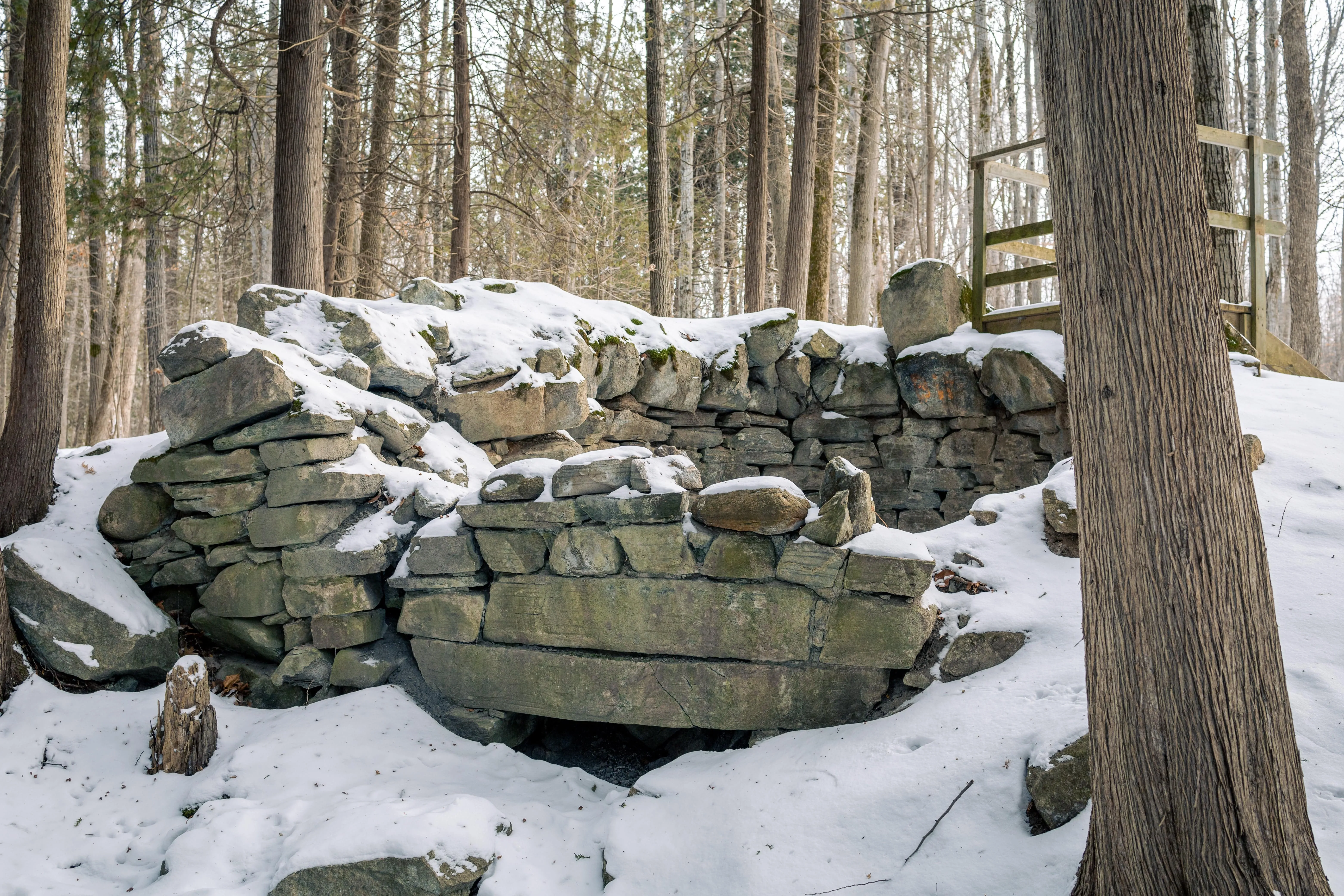 SNOVAP Winter Adventure Hike: Easy