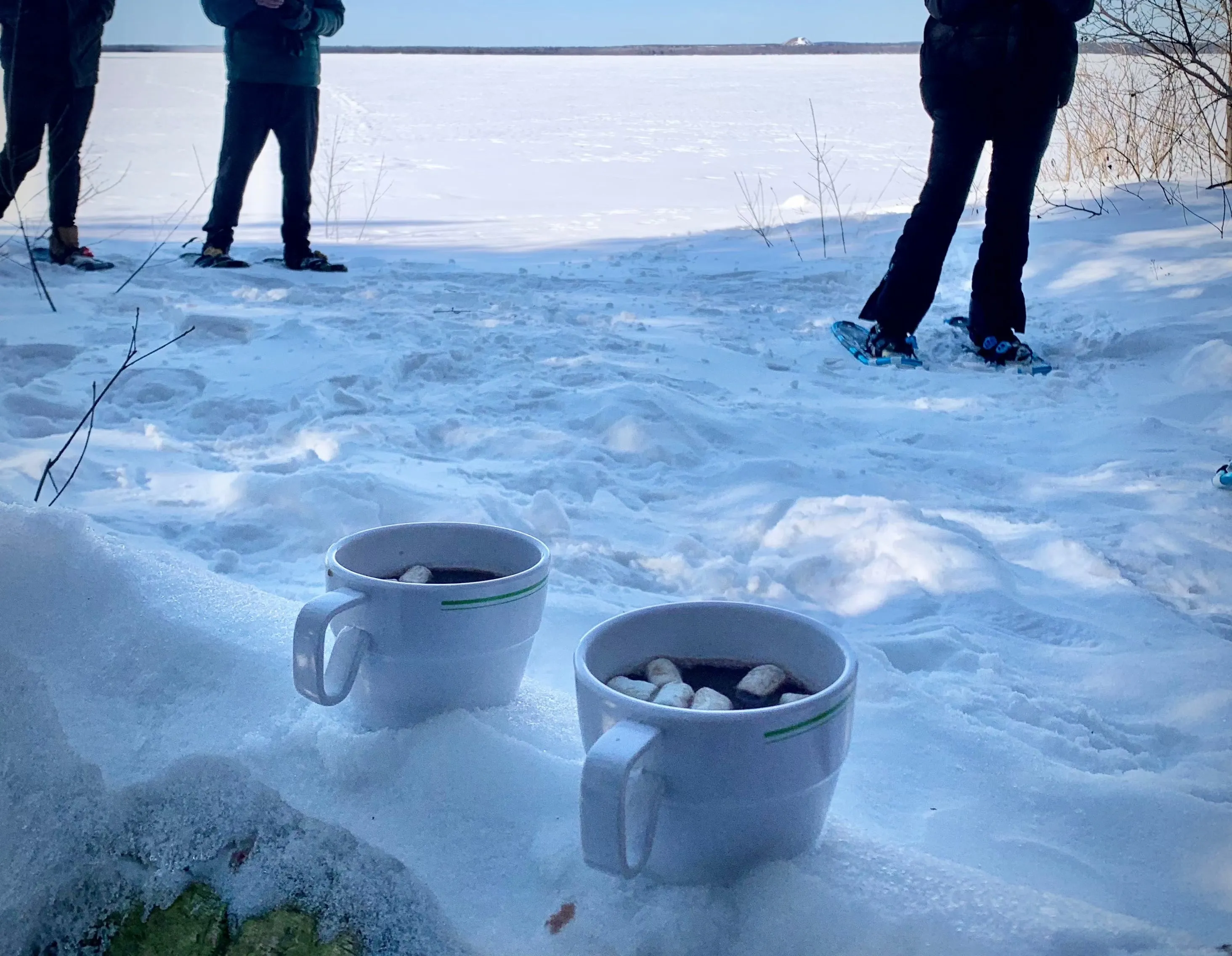 SNOVAP Winter Adventure Hike: Easy