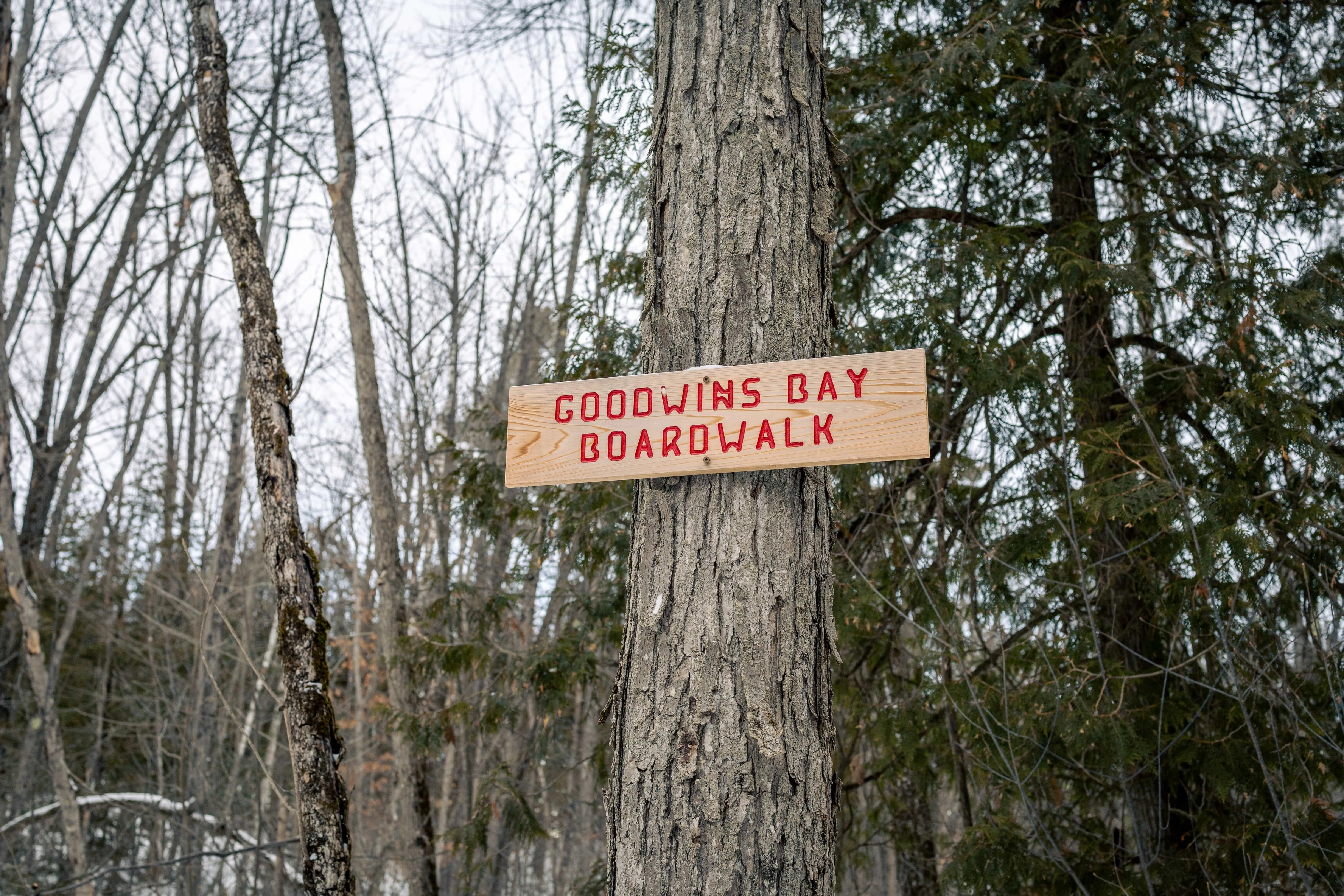 SNOVAP Winter Adventure Hike: Easy