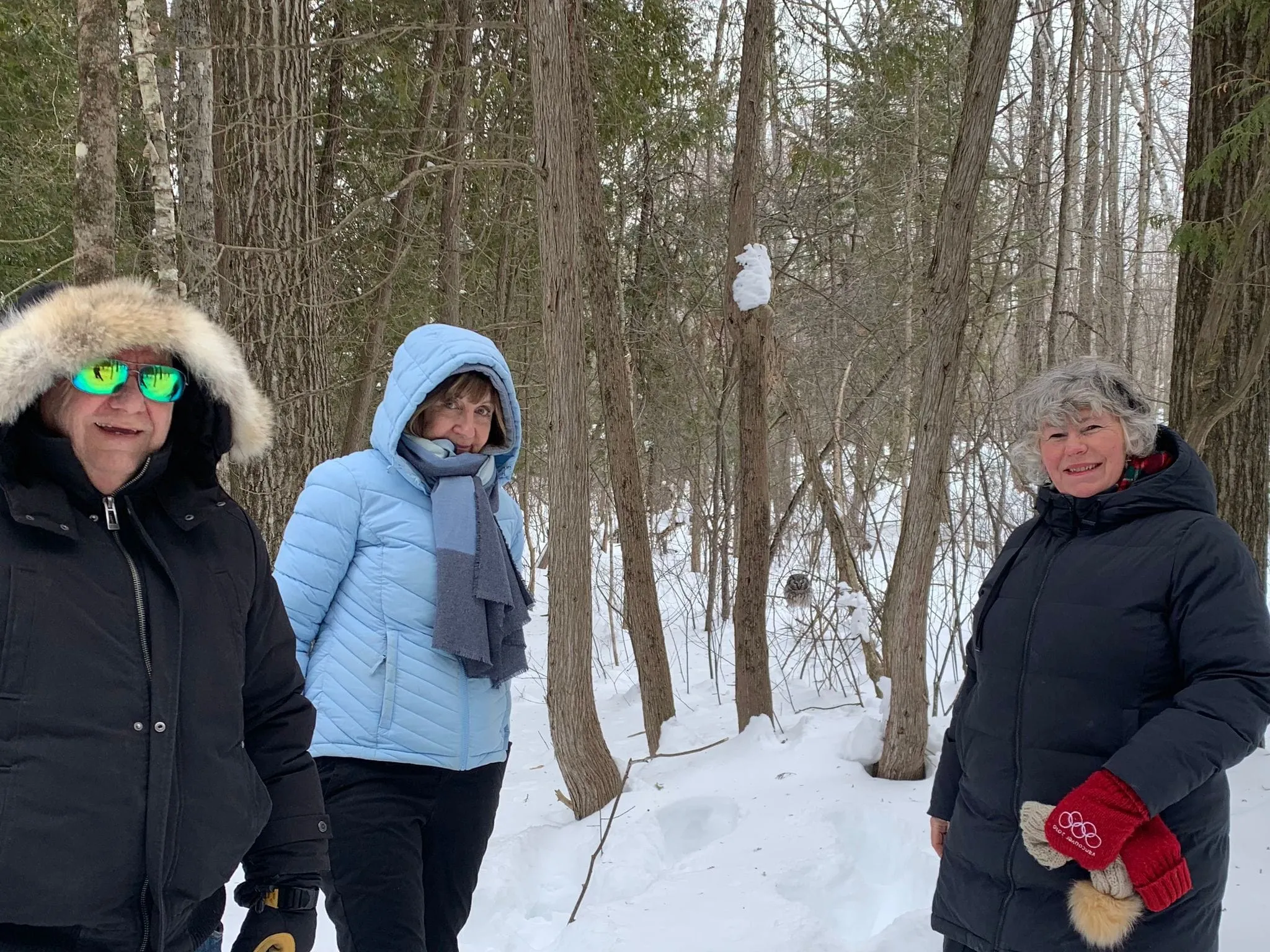 SNOVAP Winter Adventure Hike: Easy