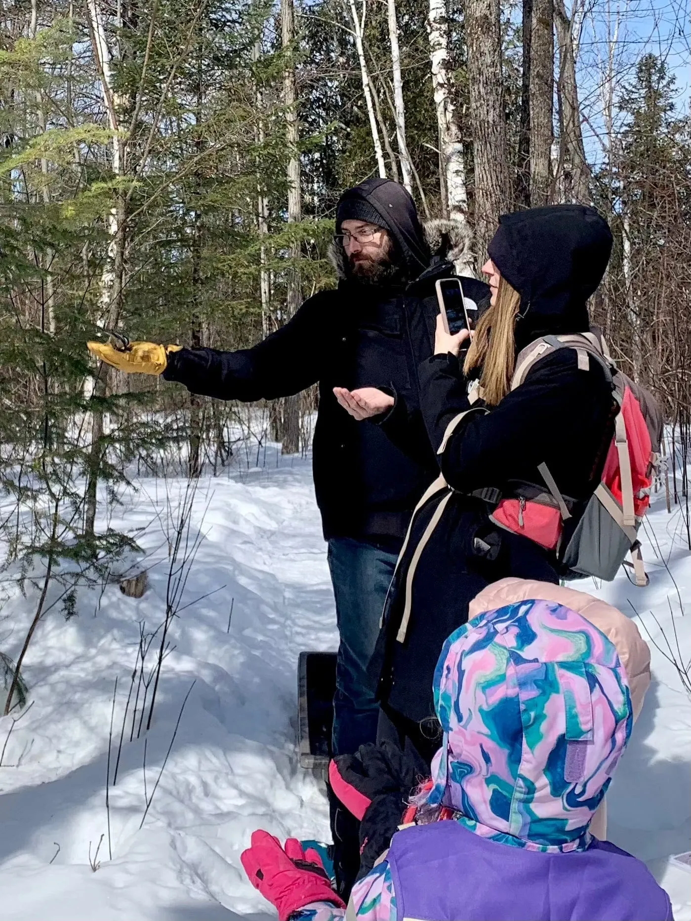 SNOVAP Winter Adventure Hike: Easy