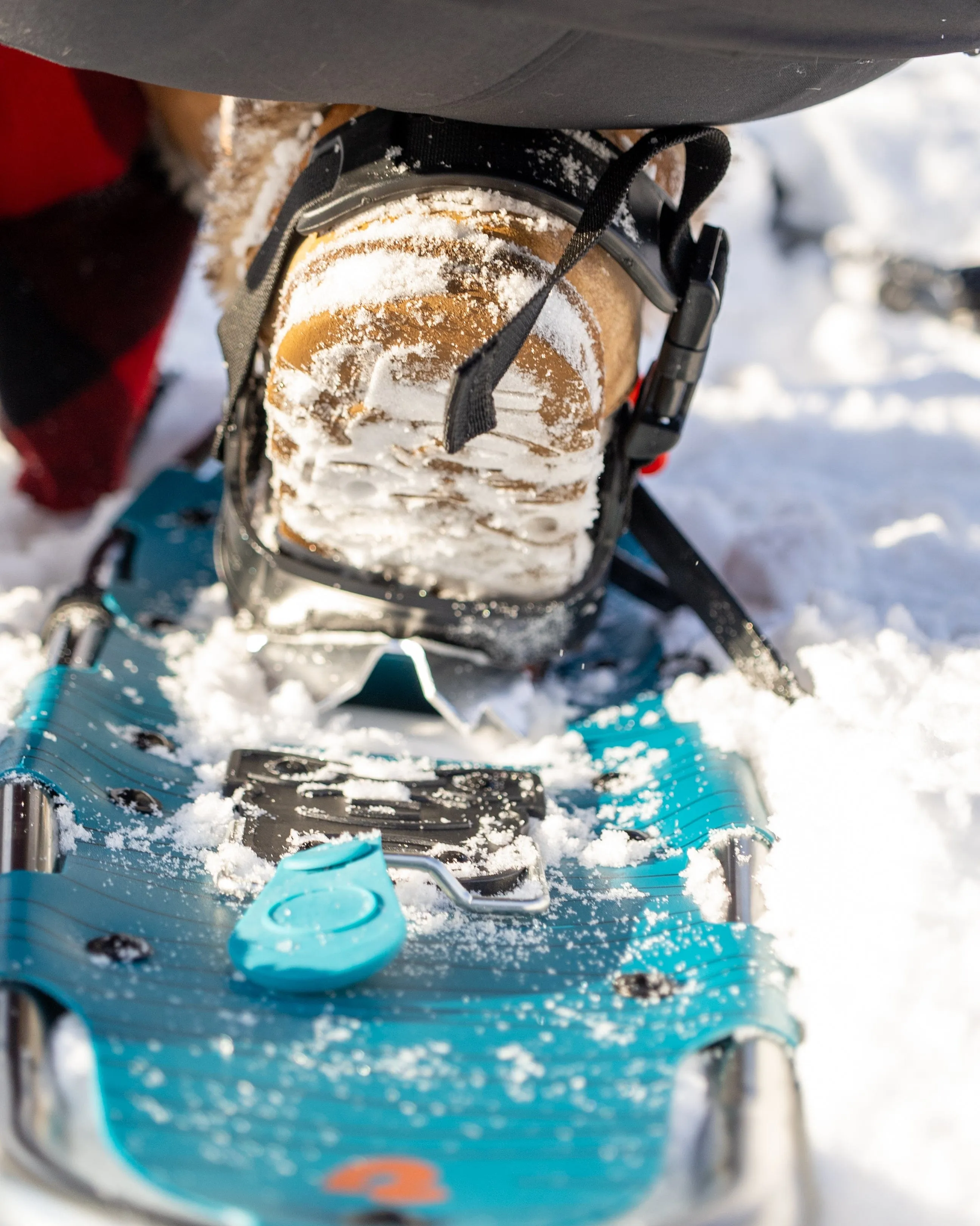 SNOVAP Winter Adventure Hike: Easy