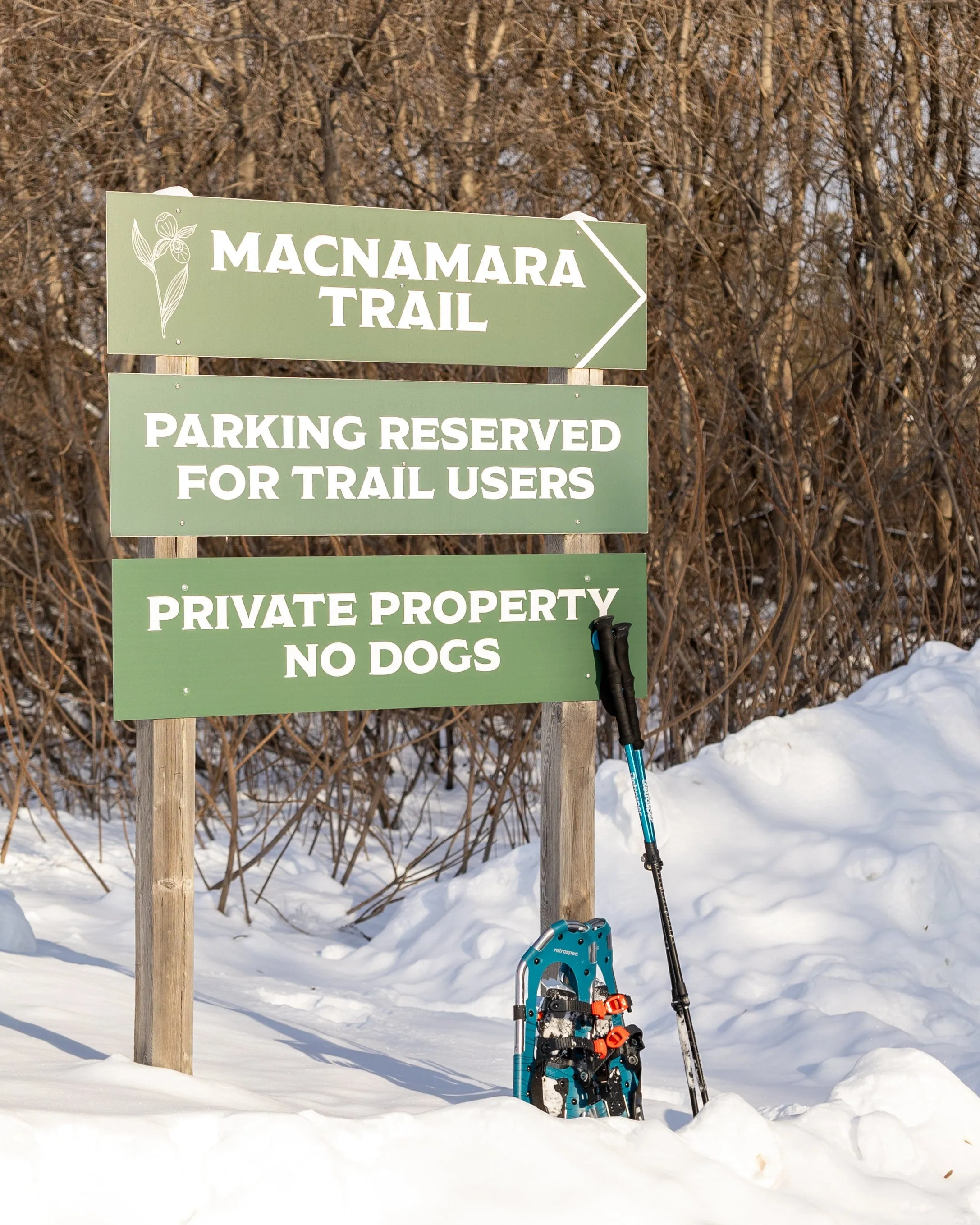 SNOVAP Winter Adventure Hike: Easy
