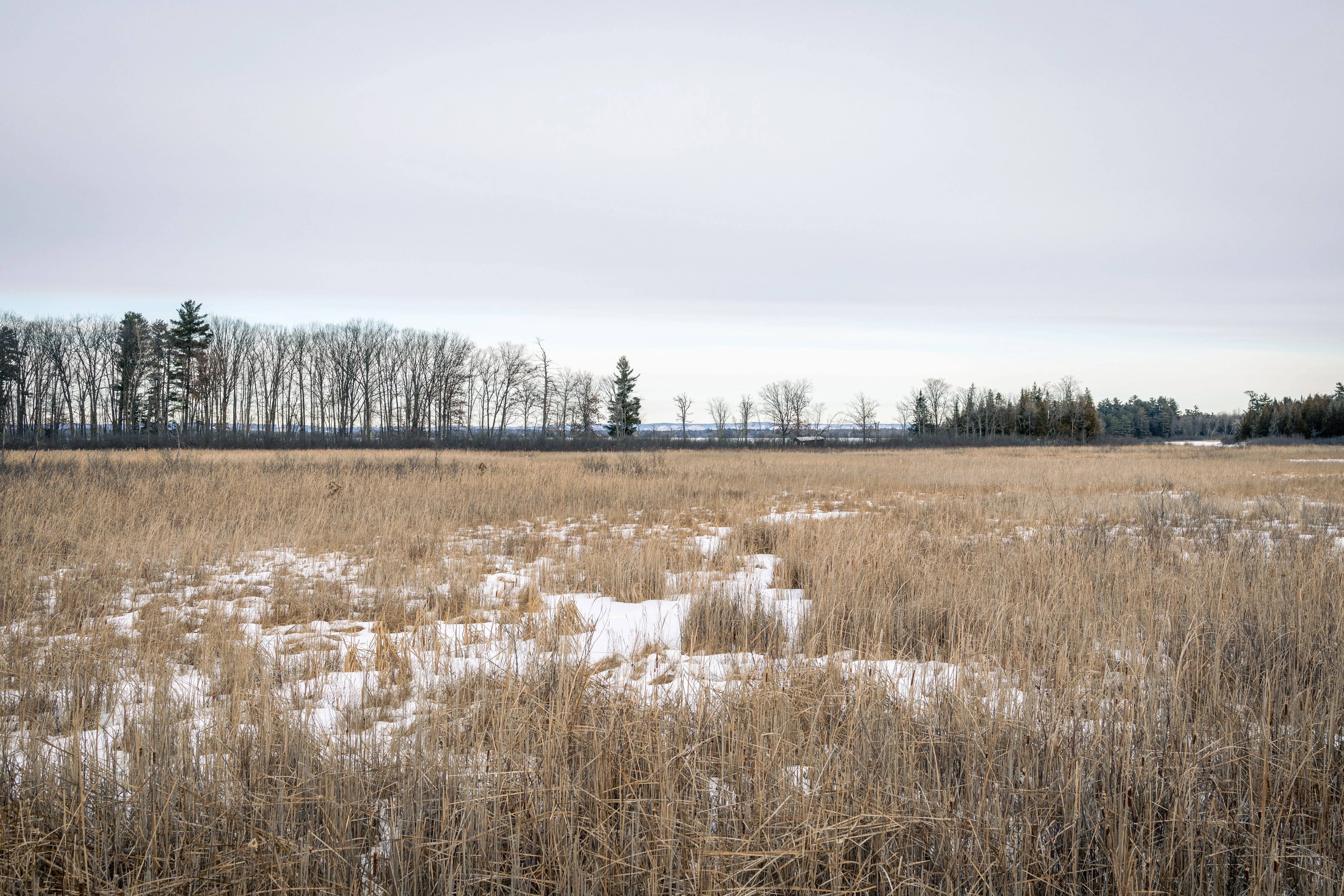 SNOVAP Winter Adventure Hike: Easy