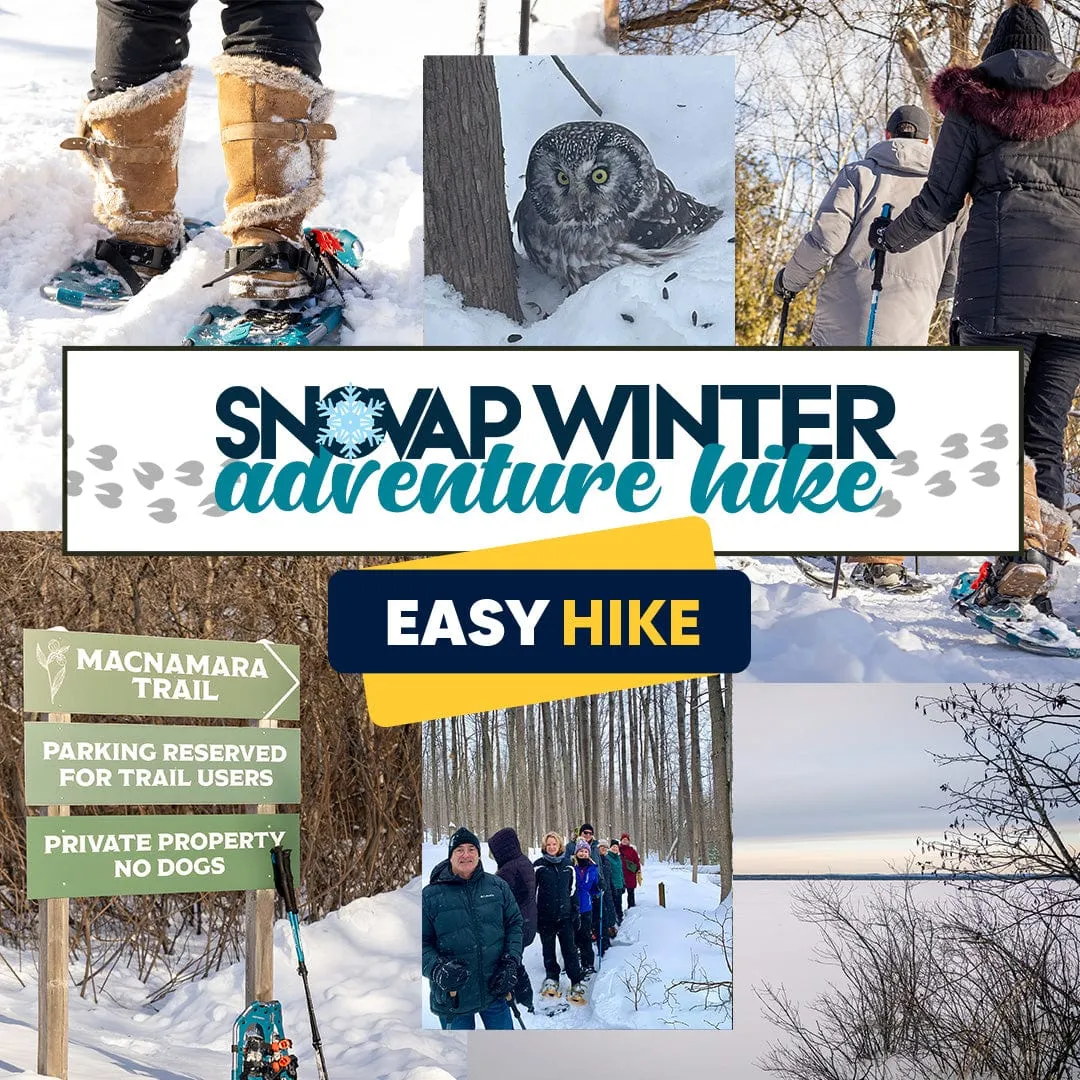 SNOVAP Winter Adventure Hike: Easy