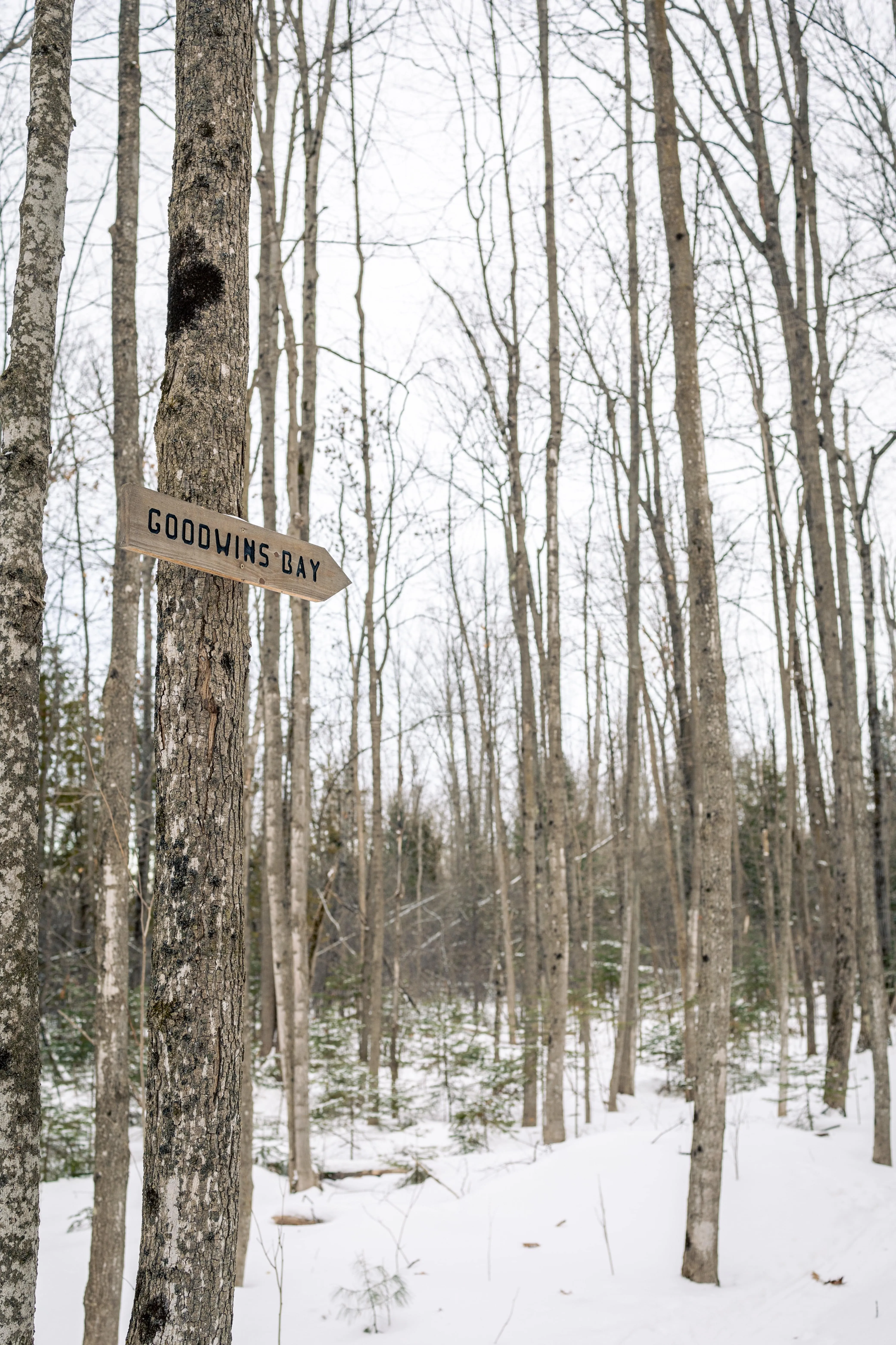 SNOVAP Winter Adventure Hike: Easy