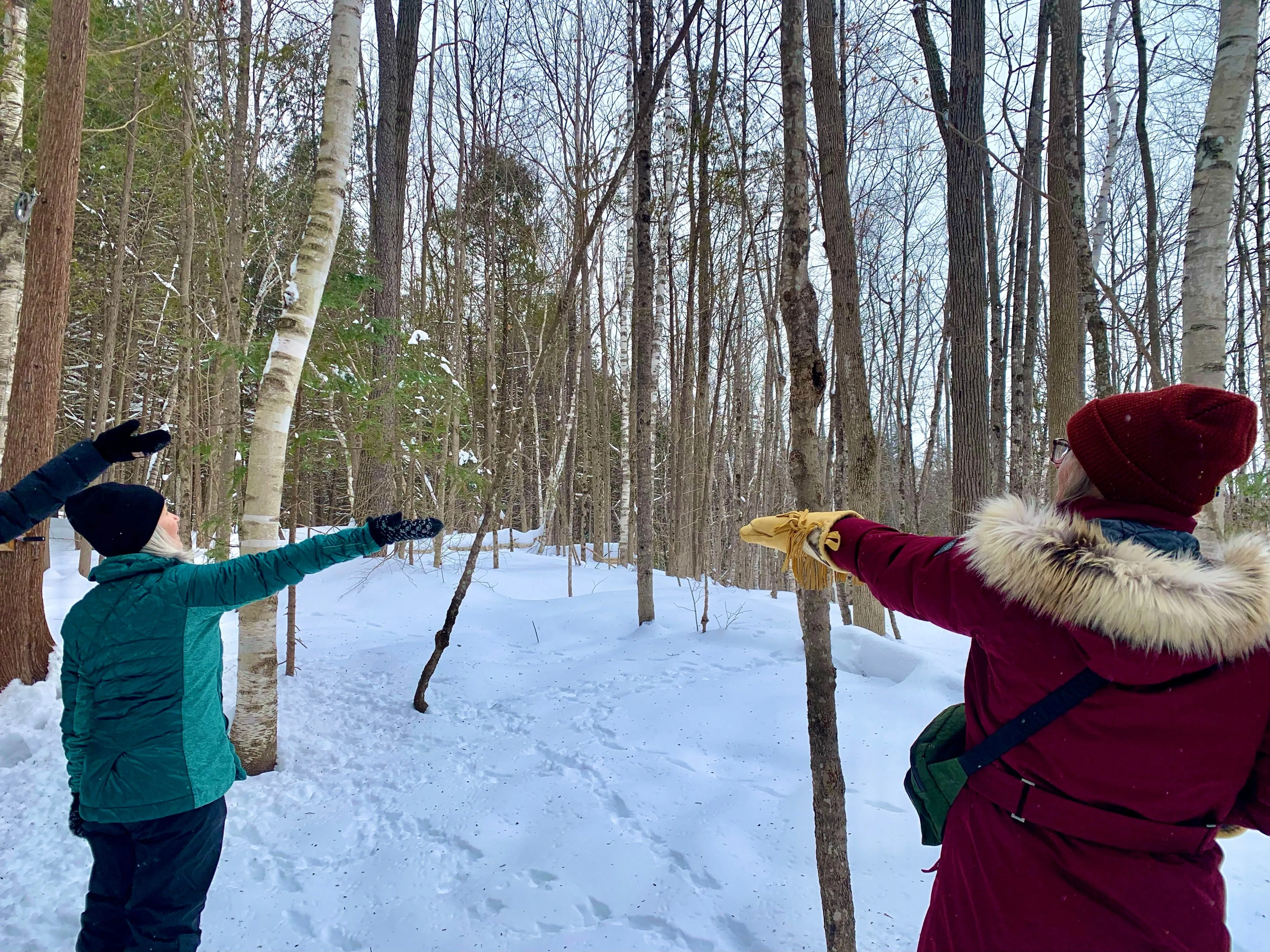 SNOVAP Winter Adventure Hike: Easy