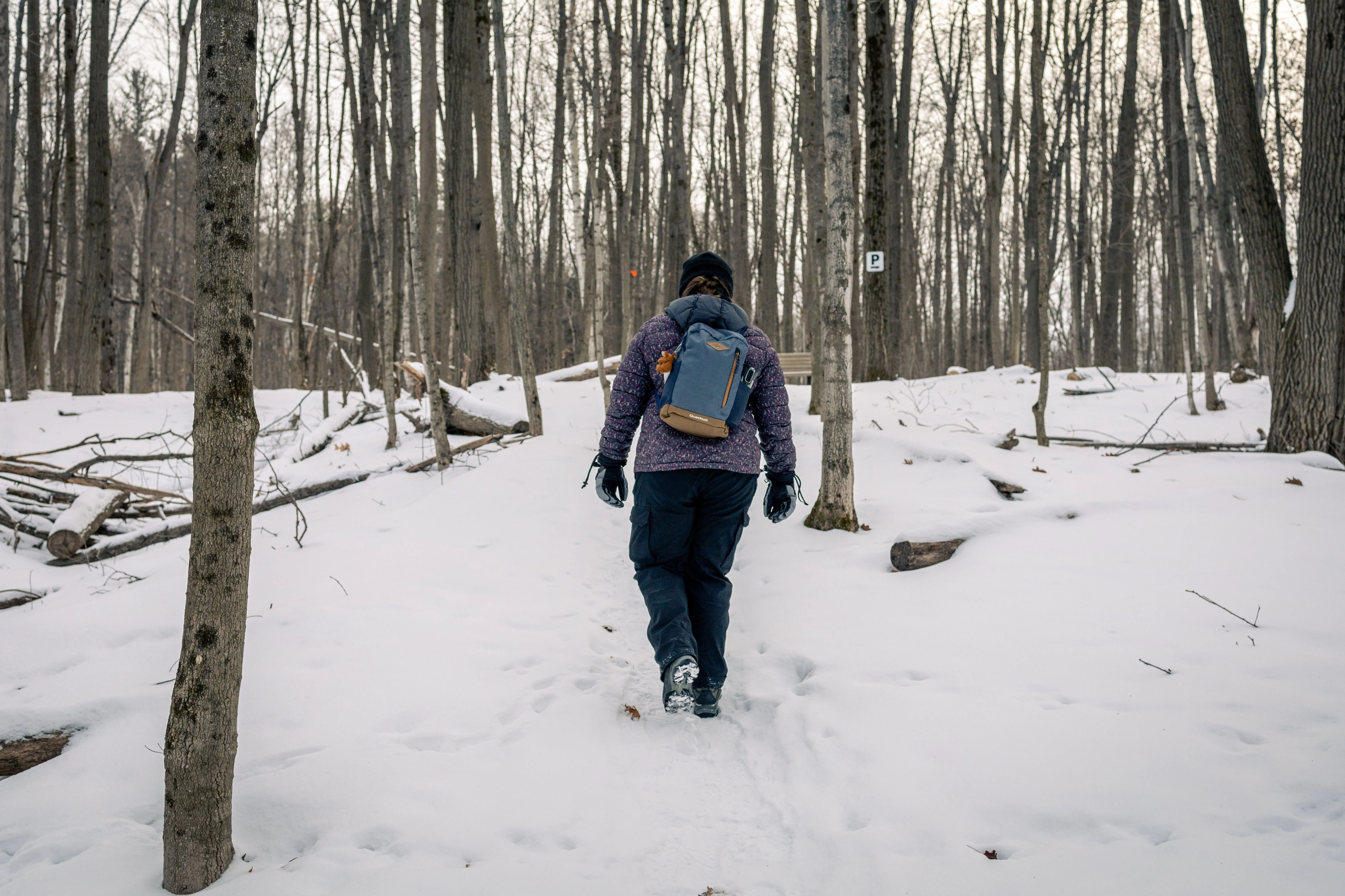 SNOVAP Winter Adventure Hike: Easy