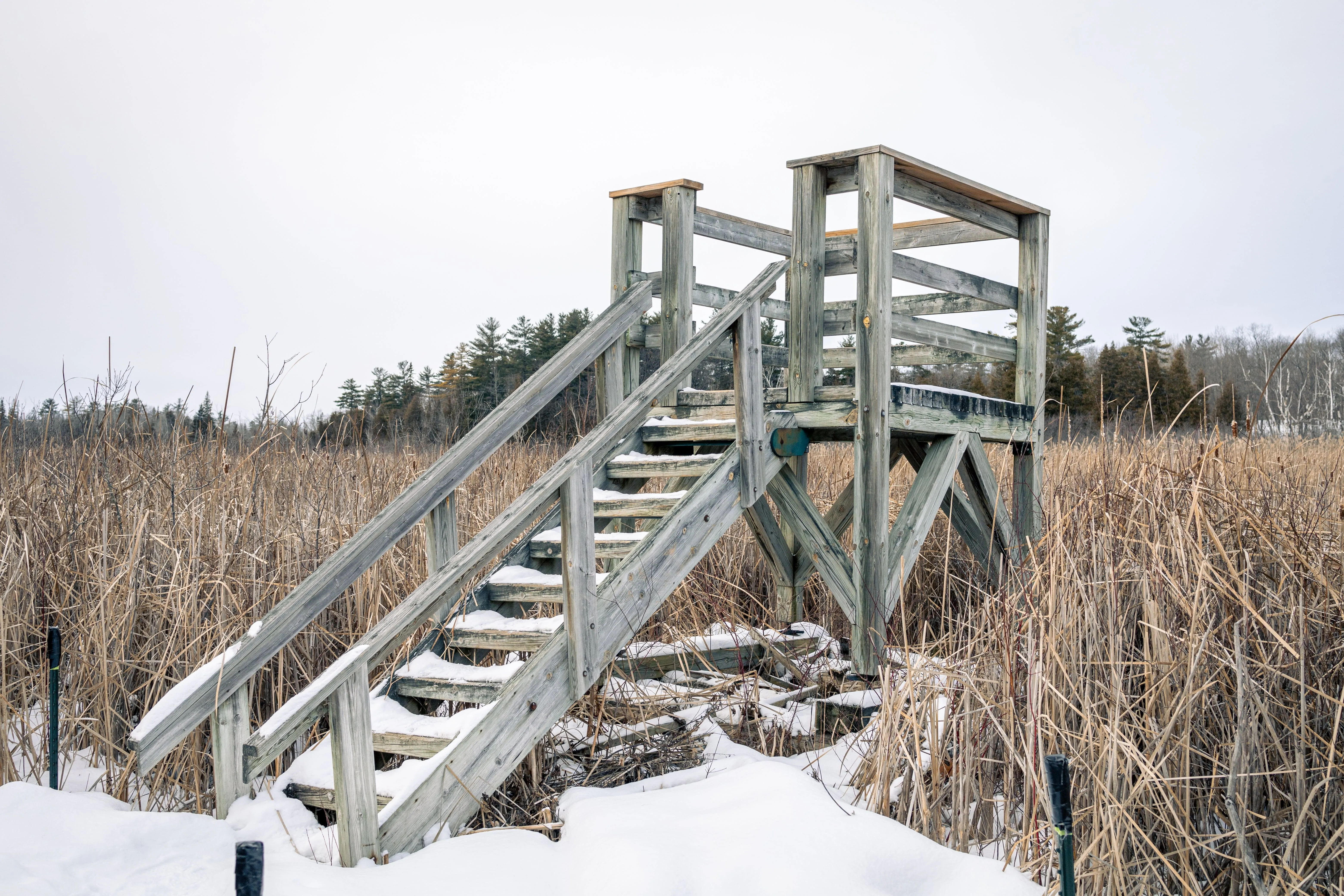SNOVAP Winter Adventure Hike: Easy