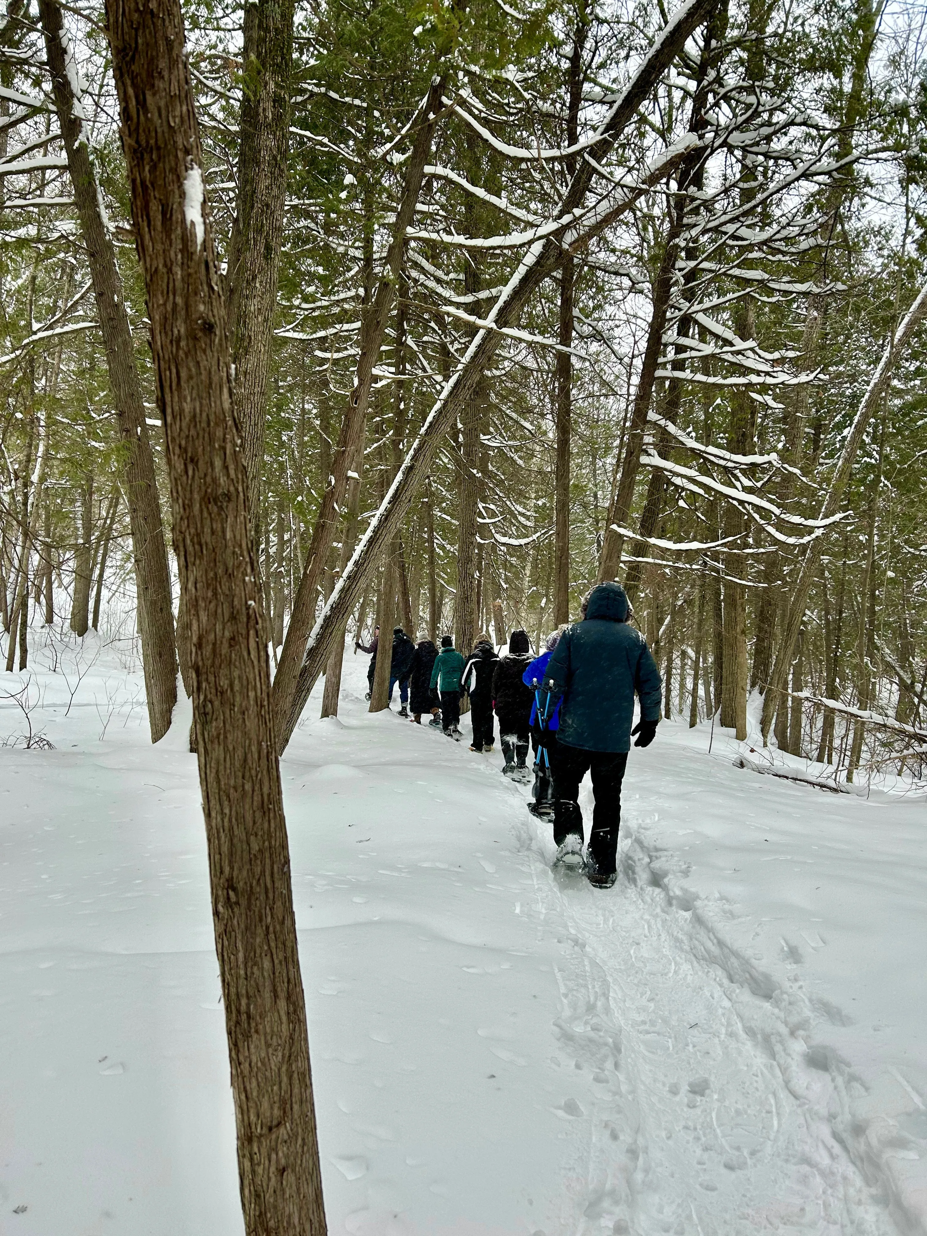 SNOVAP Winter Adventure Hike: Easy