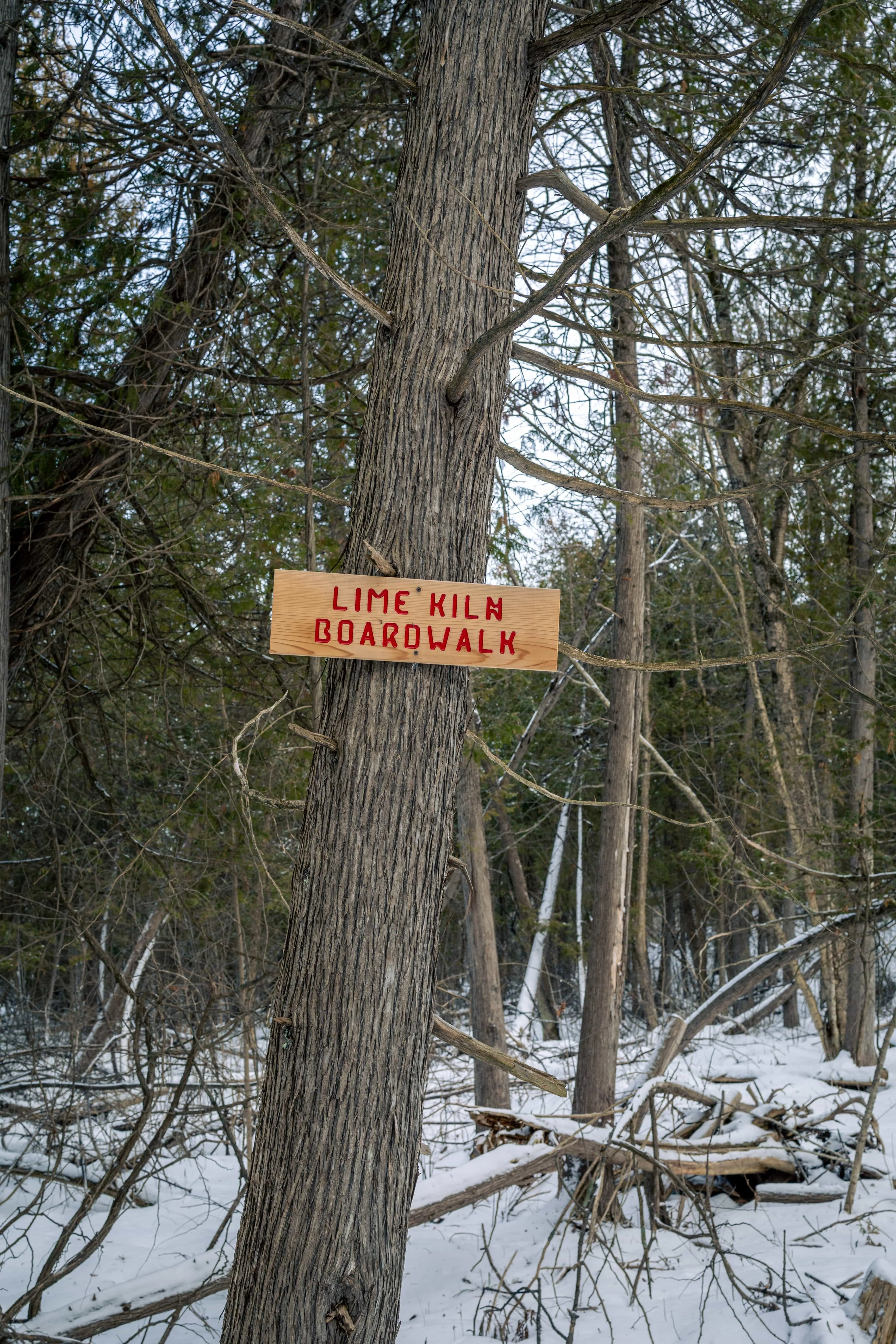 SNOVAP Winter Adventure Hike: Easy