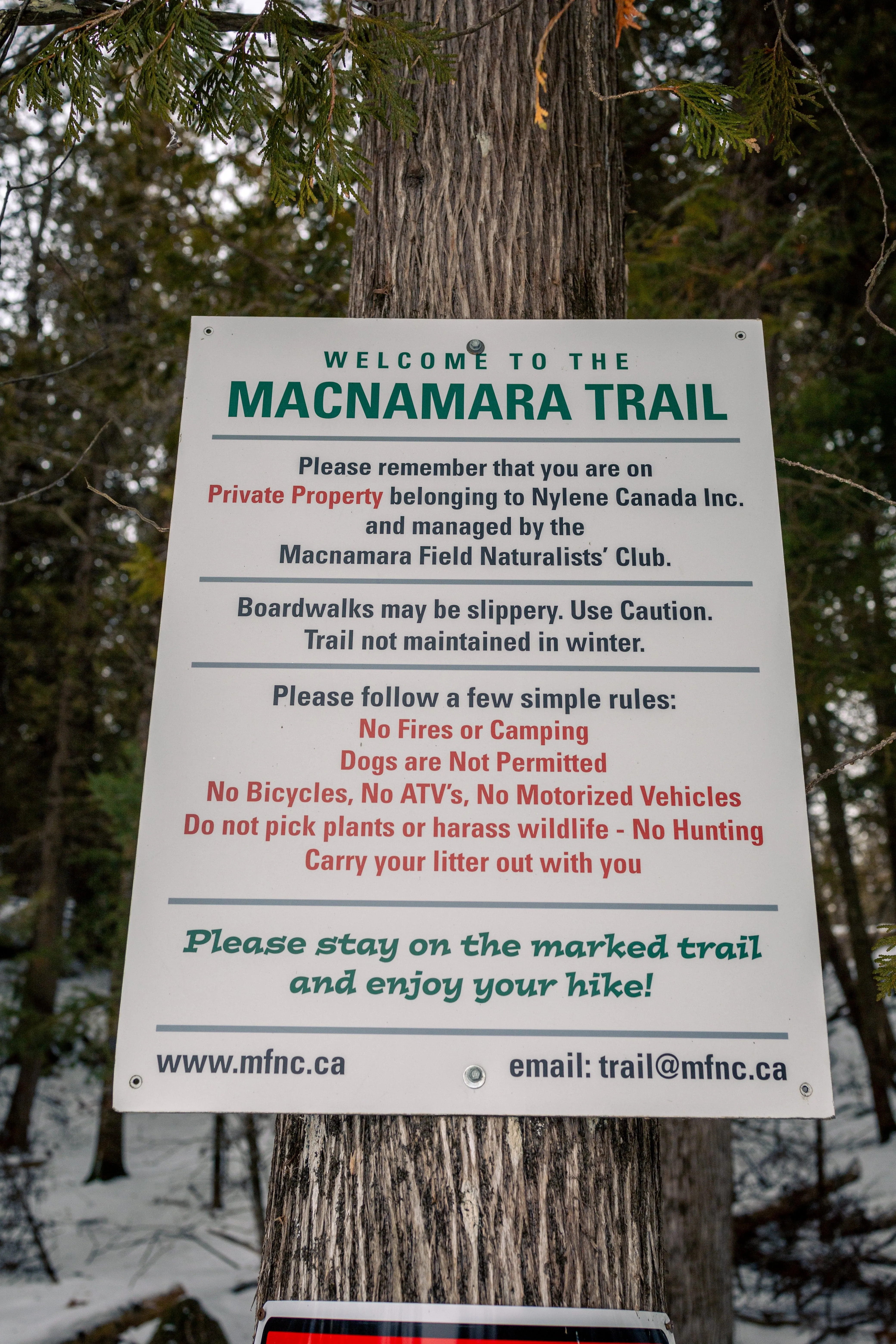 SNOVAP Winter Adventure Hike: Easy