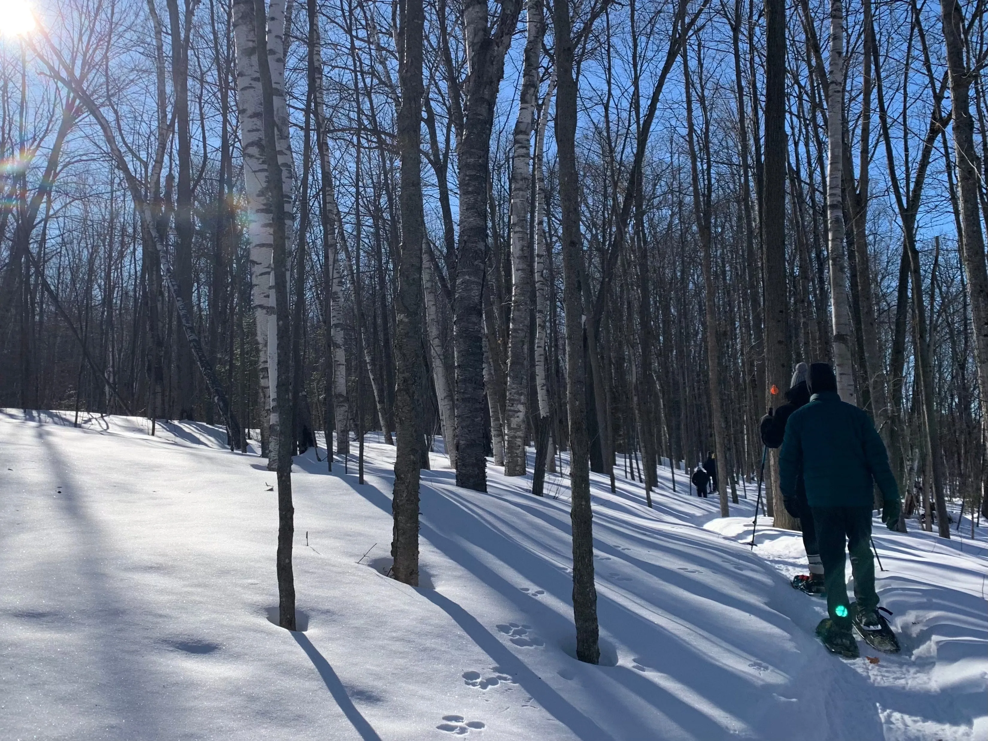 SNOVAP Winter Adventure Hike: Easy